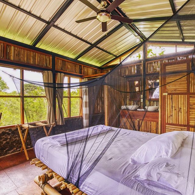 Almost one year on from the launch of La Bambouseraie, we're so happy with the feedback we've had from our guests. .
💚
It's been a difficult year in Nicaragua, especially for a new project. These cabins had just been set in motion when the 2018 prot