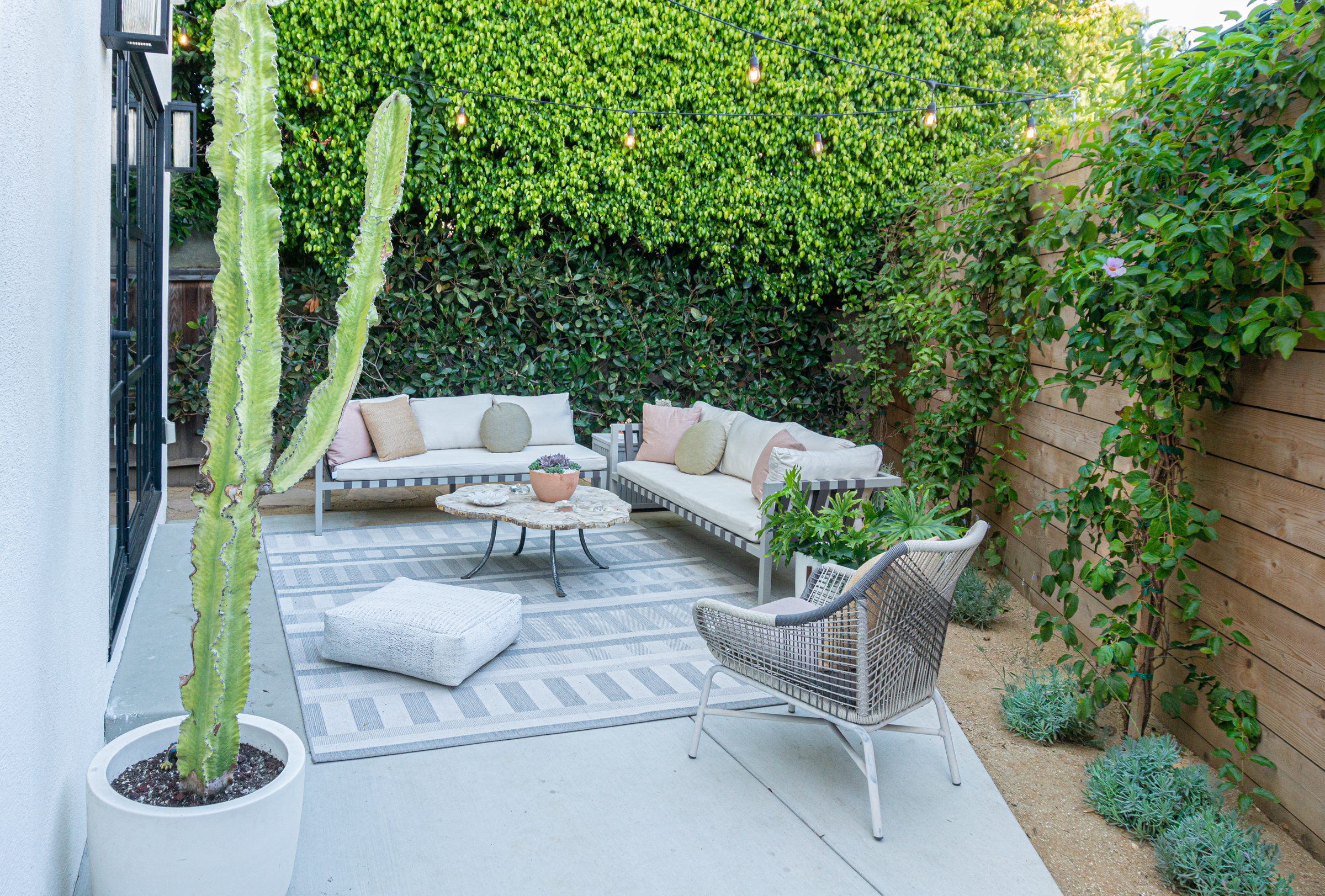 VB backyard.jpg