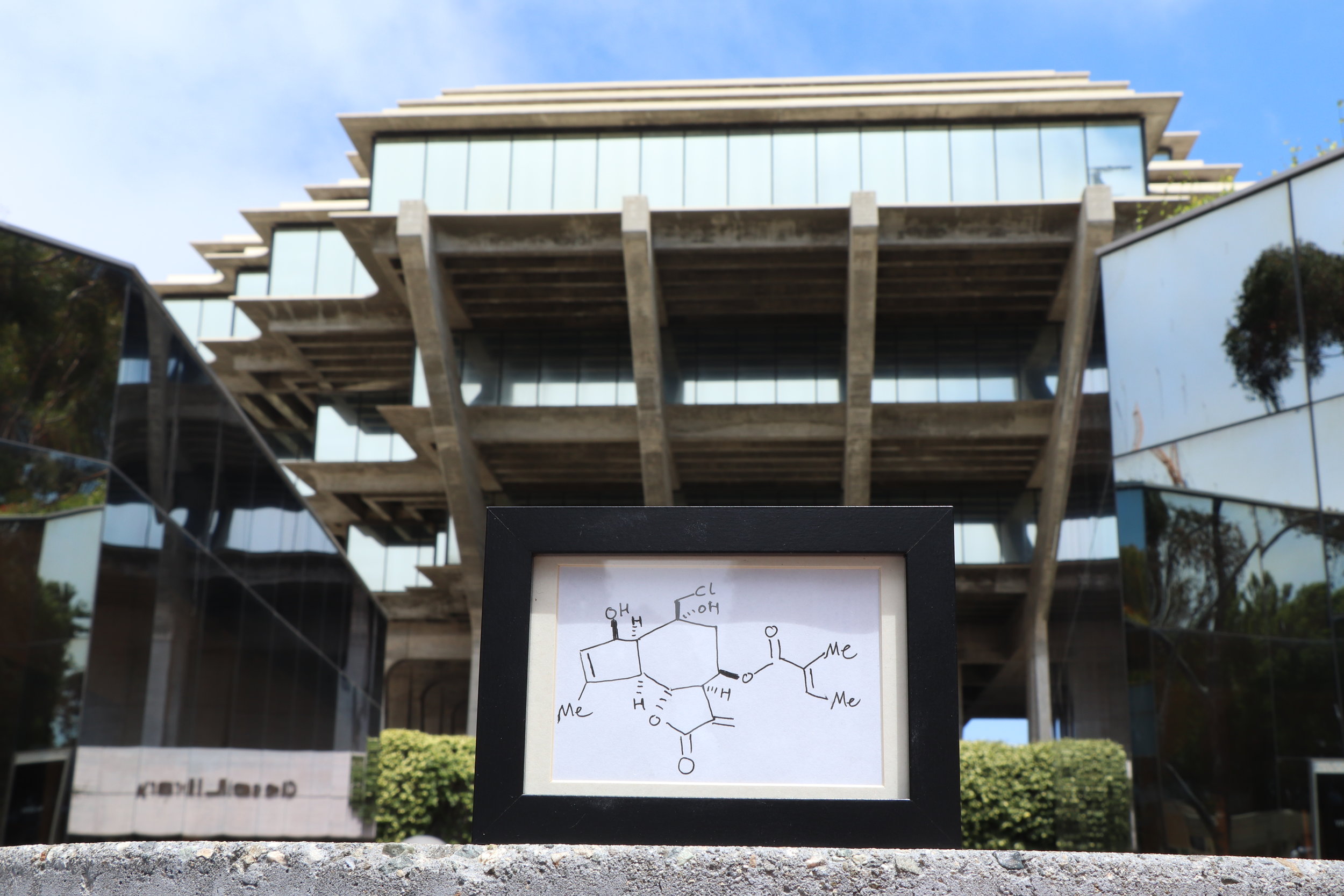 Geisel Library and Organic Chemistry 
