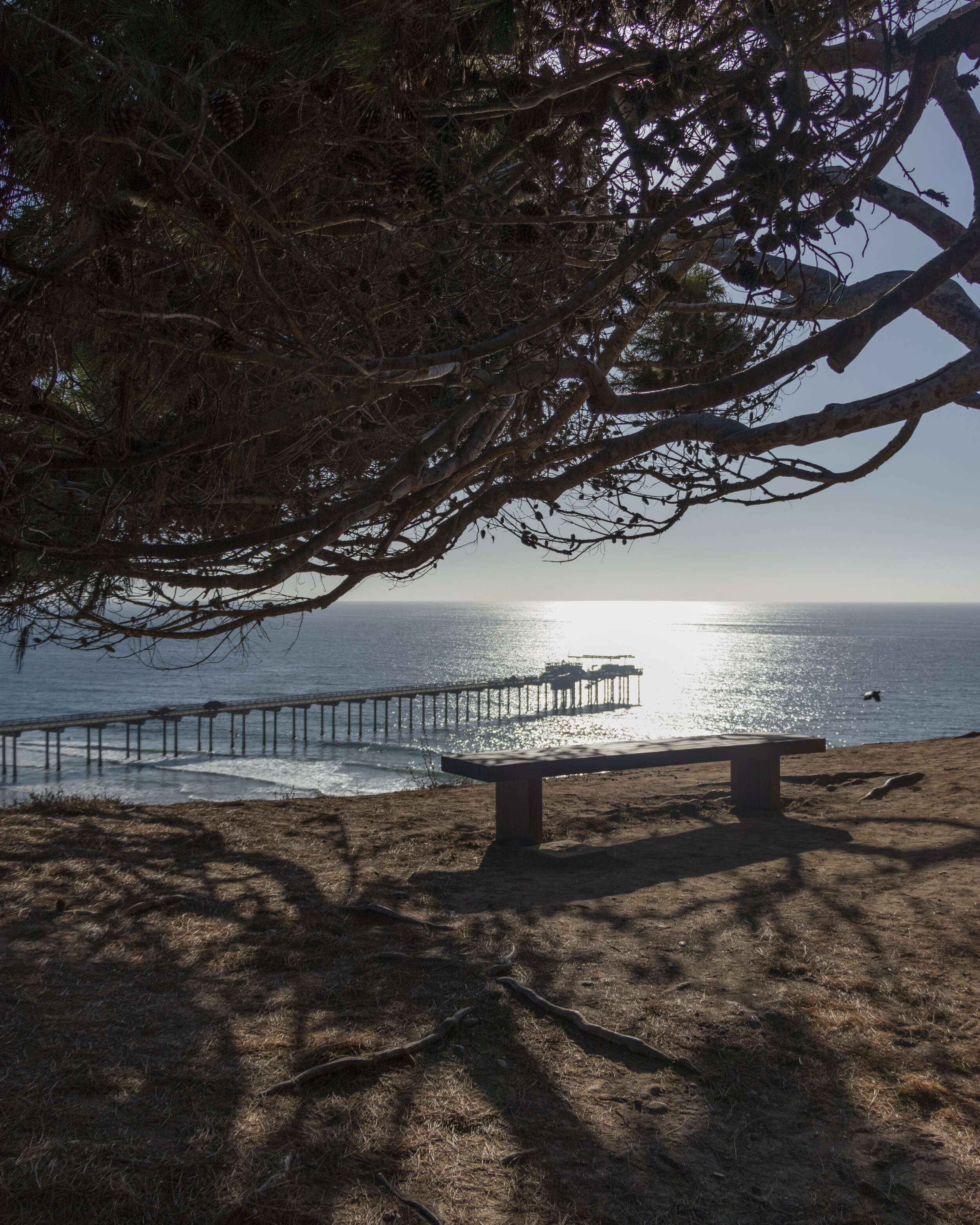 UC San Diego Scripps Pier 