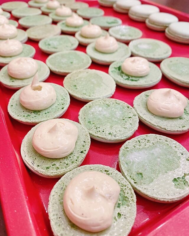 Pistachio for days! 💚🤍💚 I&rsquo;m thinking about doing a box of classically French flavors for Bastille Day in July, with this elegant flavor in the mix. It&rsquo;s such love it or hate it flavor, though. What do you think? Are you a pistachio lov