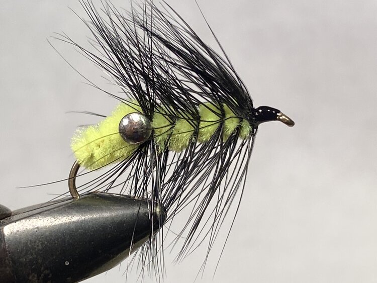 Carp Wooly DK - Chartreuse