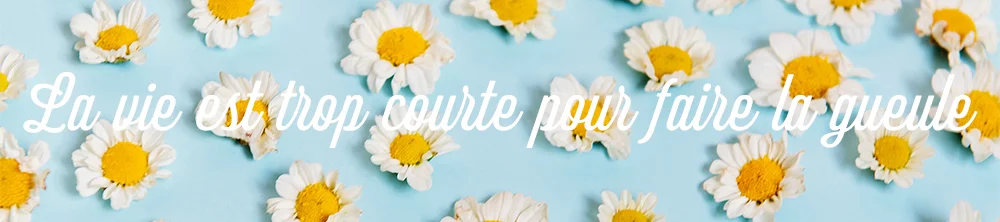 bannière-la-vie-est-trop-courte-pour-faire-la-gueule.jpg