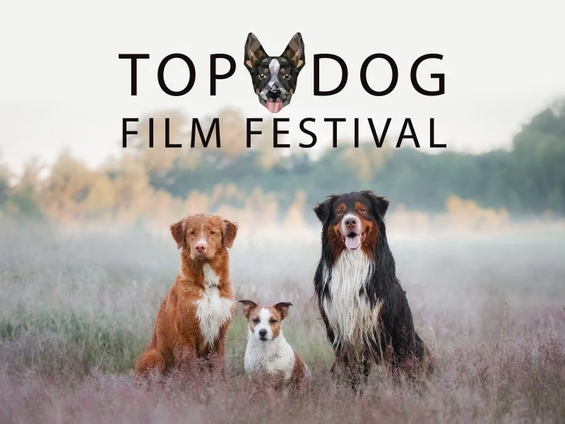 CHRISTCHURCH: Top Dog Film Festival 2024