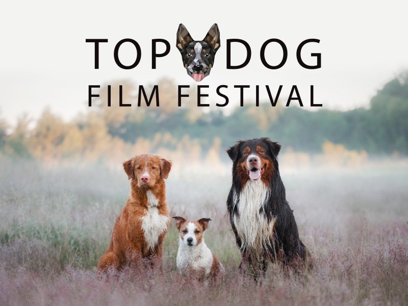 NELSON: Top Dog Film Festival 2024