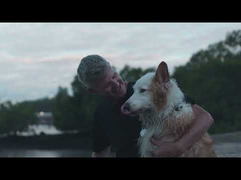 Top Dog Film Festival 2026 Official Trailer