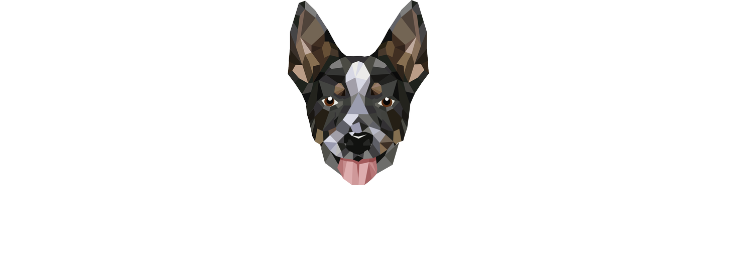 Top Dog Film Festival NZ