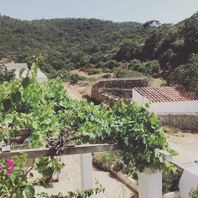 Oh so peaceful at this cute Spanish farmhouse. Time for some short and much needed downtime. #restandrelaxationtime #toomuchtravel #stopmoving #breakfromthehustle