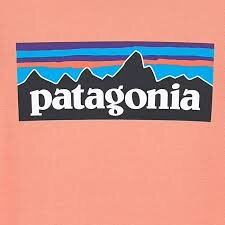 patagonia logo.jpeg
