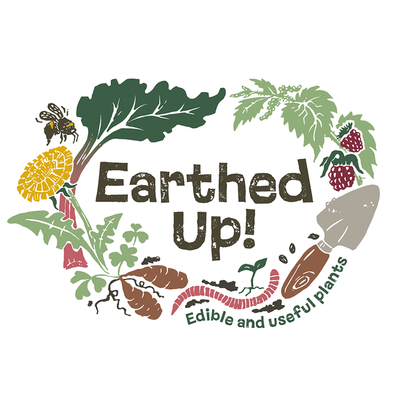EarthedUp! website_logo_square - Earthed Up!.png