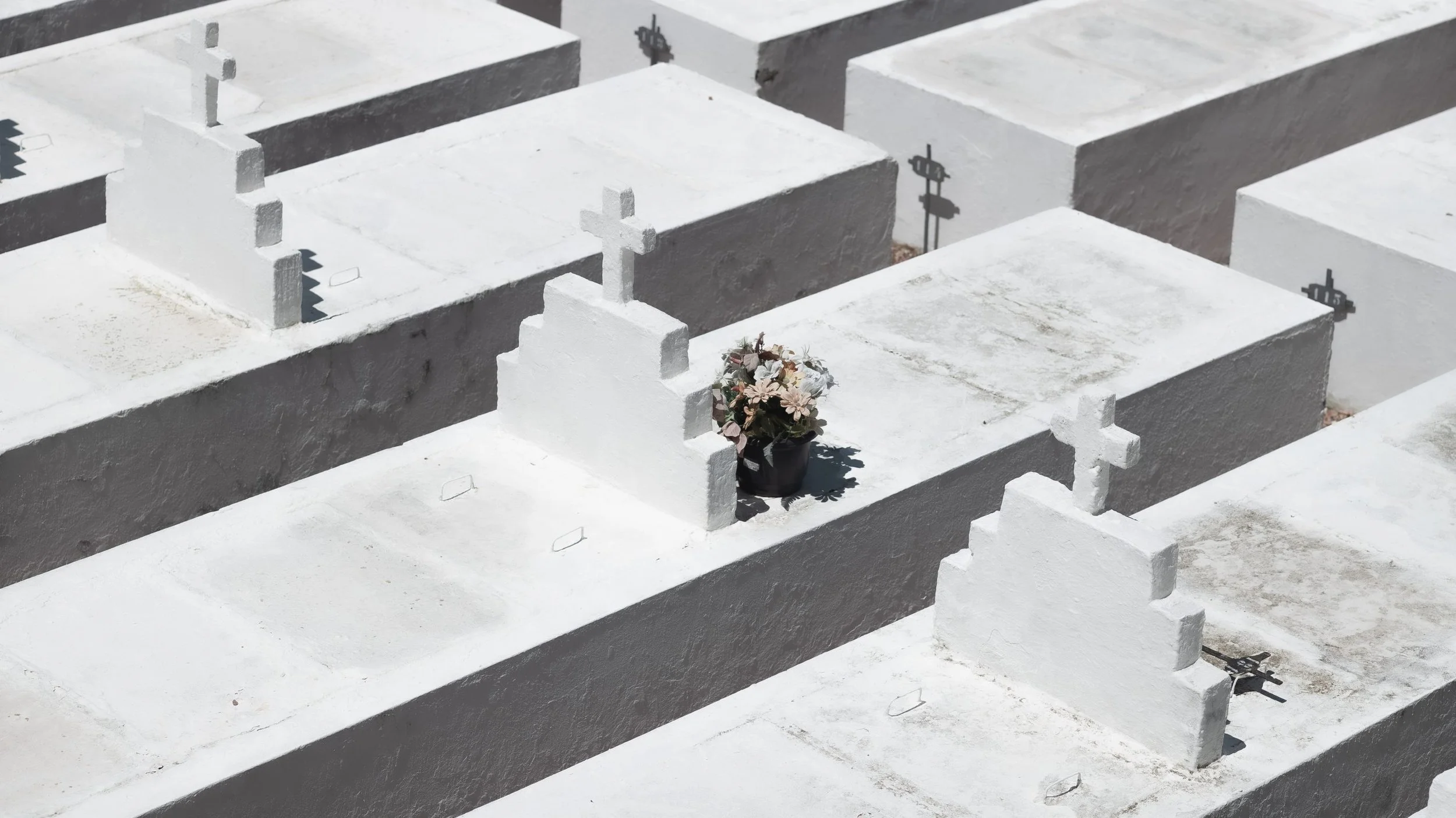 RoW_Marcio_Pimenta-1-2800x1575 (1).jpeg