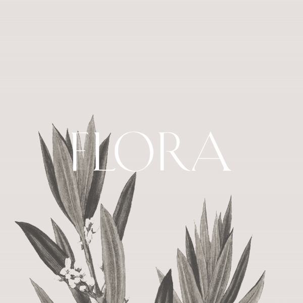 Flora Display Font