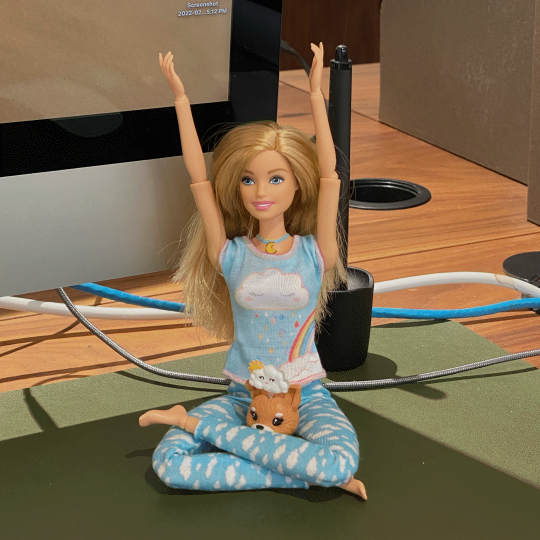 A Reflection of Our Journey So Far.