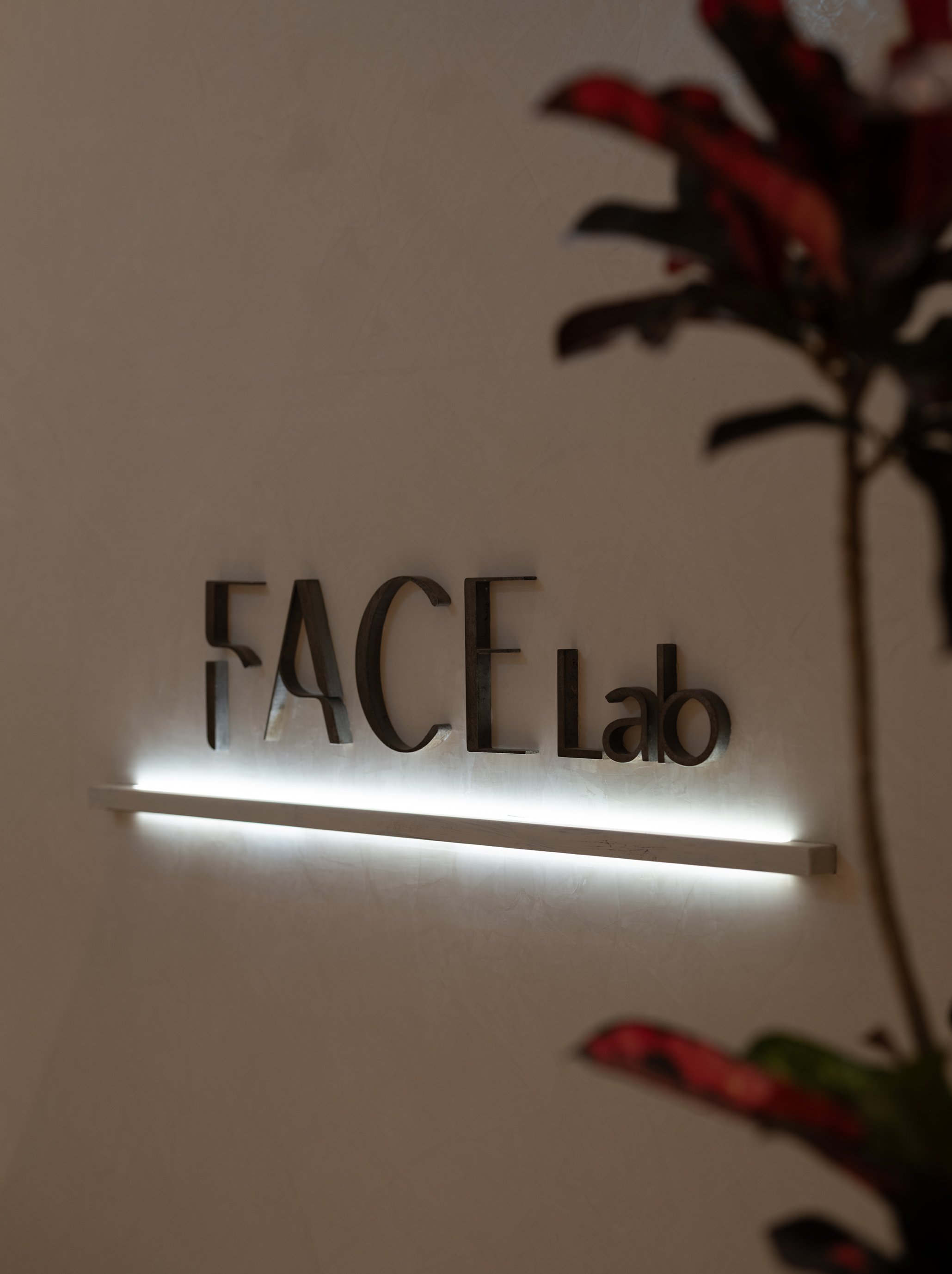 Facelab-6667-72dpi.jpg