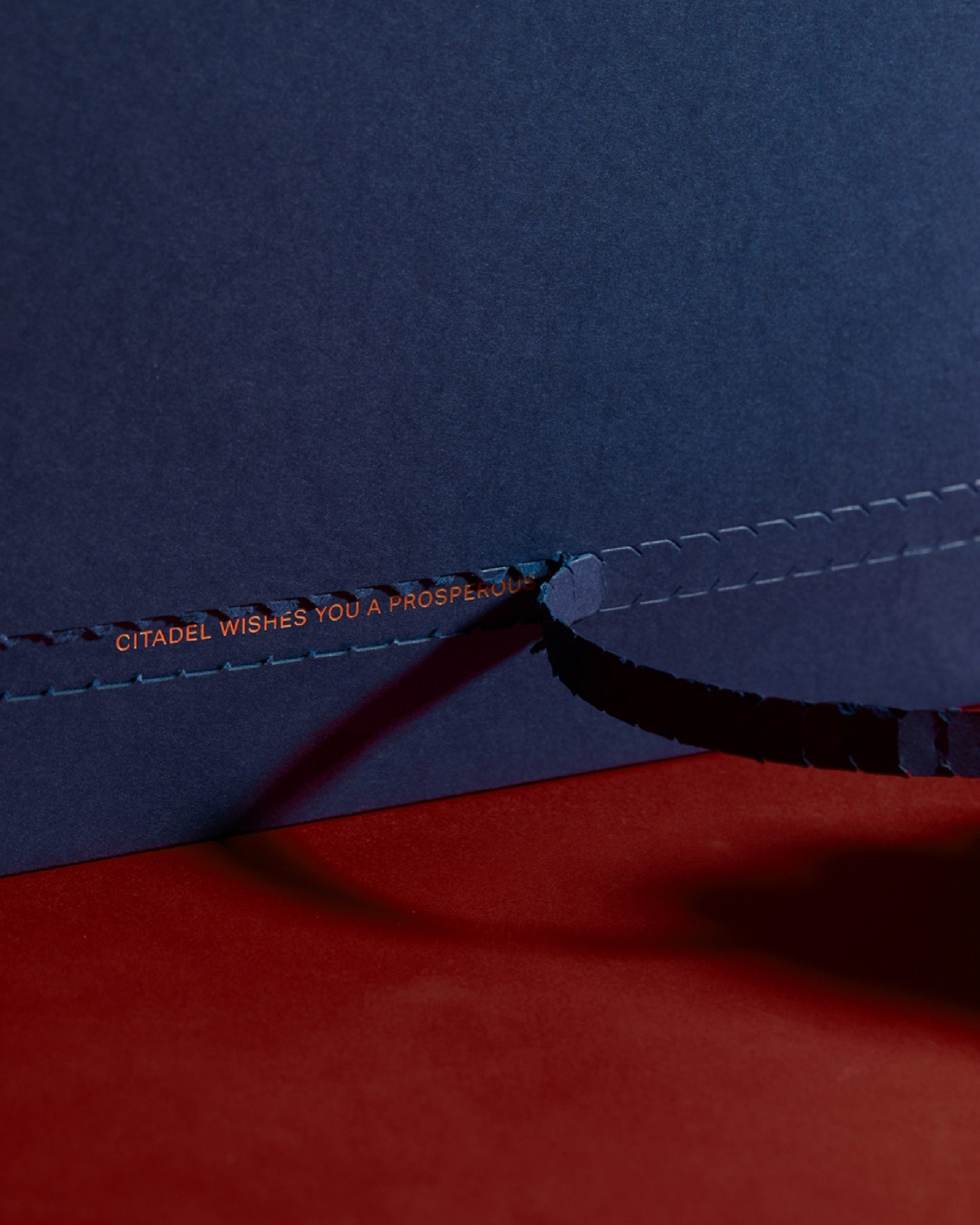 Celebrating Lunar New Year, we have partnered with Citadel, a leading hedge fund, to create a series of collaterals centered around the theme of &ldquo;unveiling&rdquo;. This concept reflects Citadel&rsquo;s innovative spirit and the excitement of em