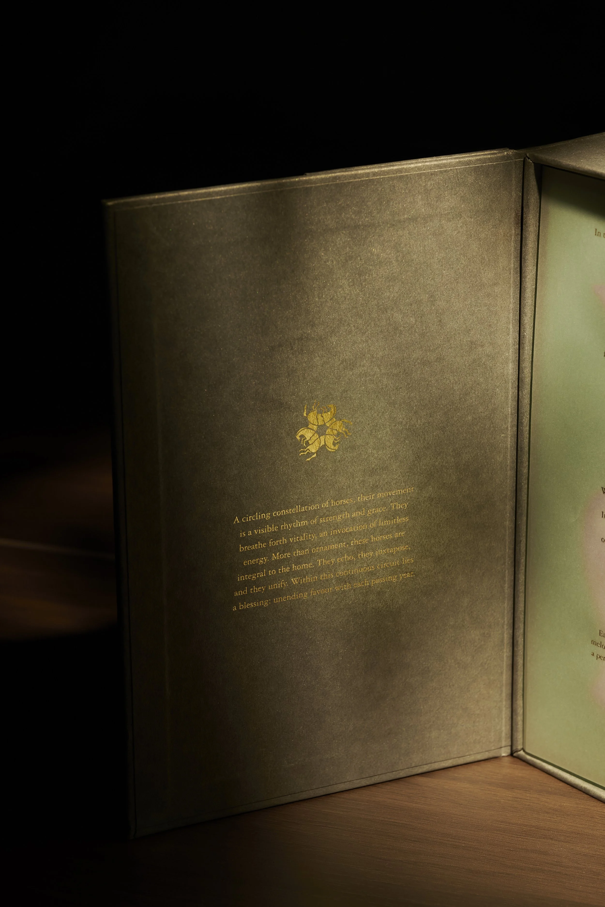 Year of the Horse Red Packet Packaging Description