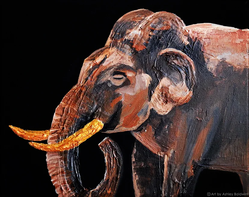 Elephant.jpg
