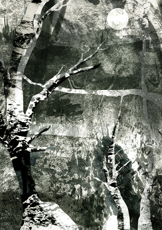 Silver Birches | A GIF from Crow Road - an ongoing visual exploration of anxiety and depression