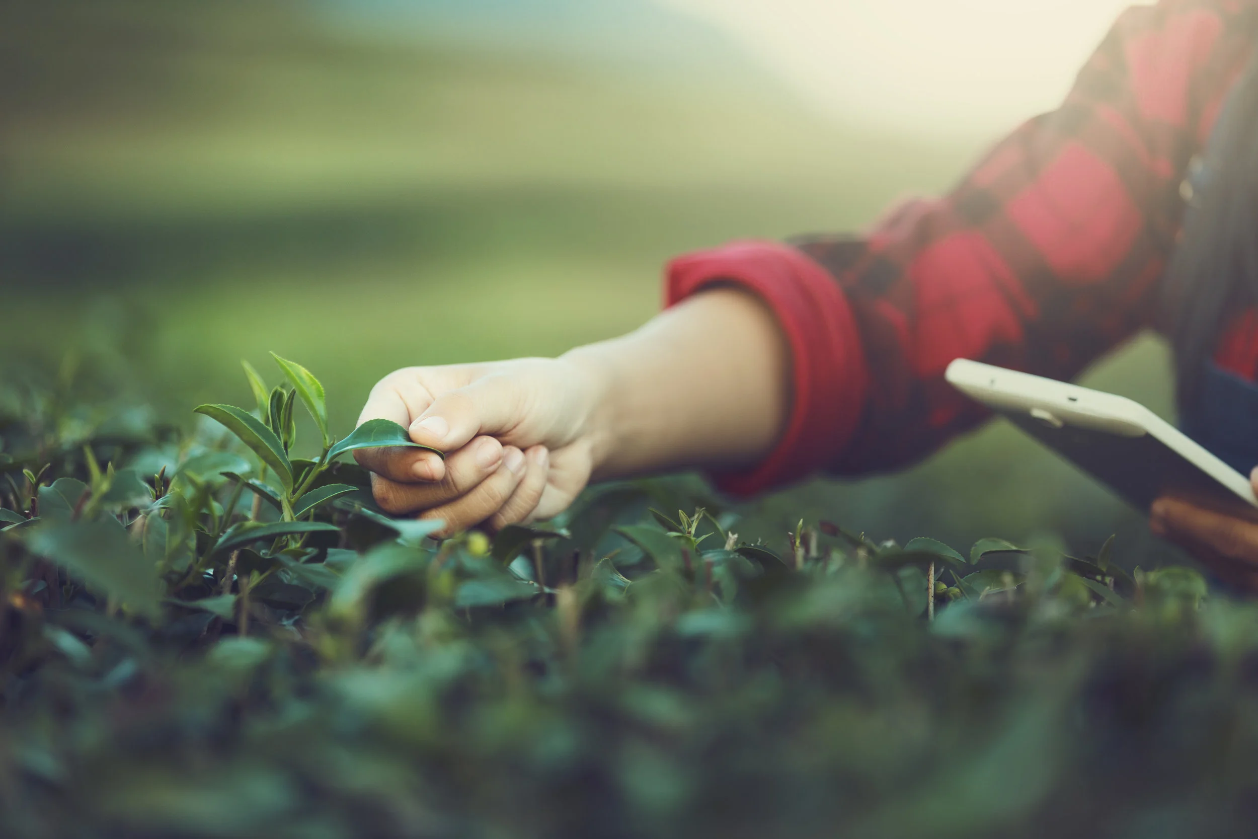 How we saved a farmer 20+ hours a week 