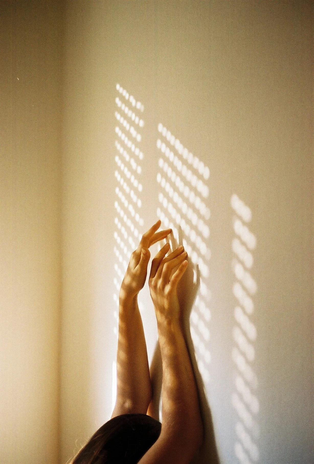 The In Between: The Journey to Asexuality 