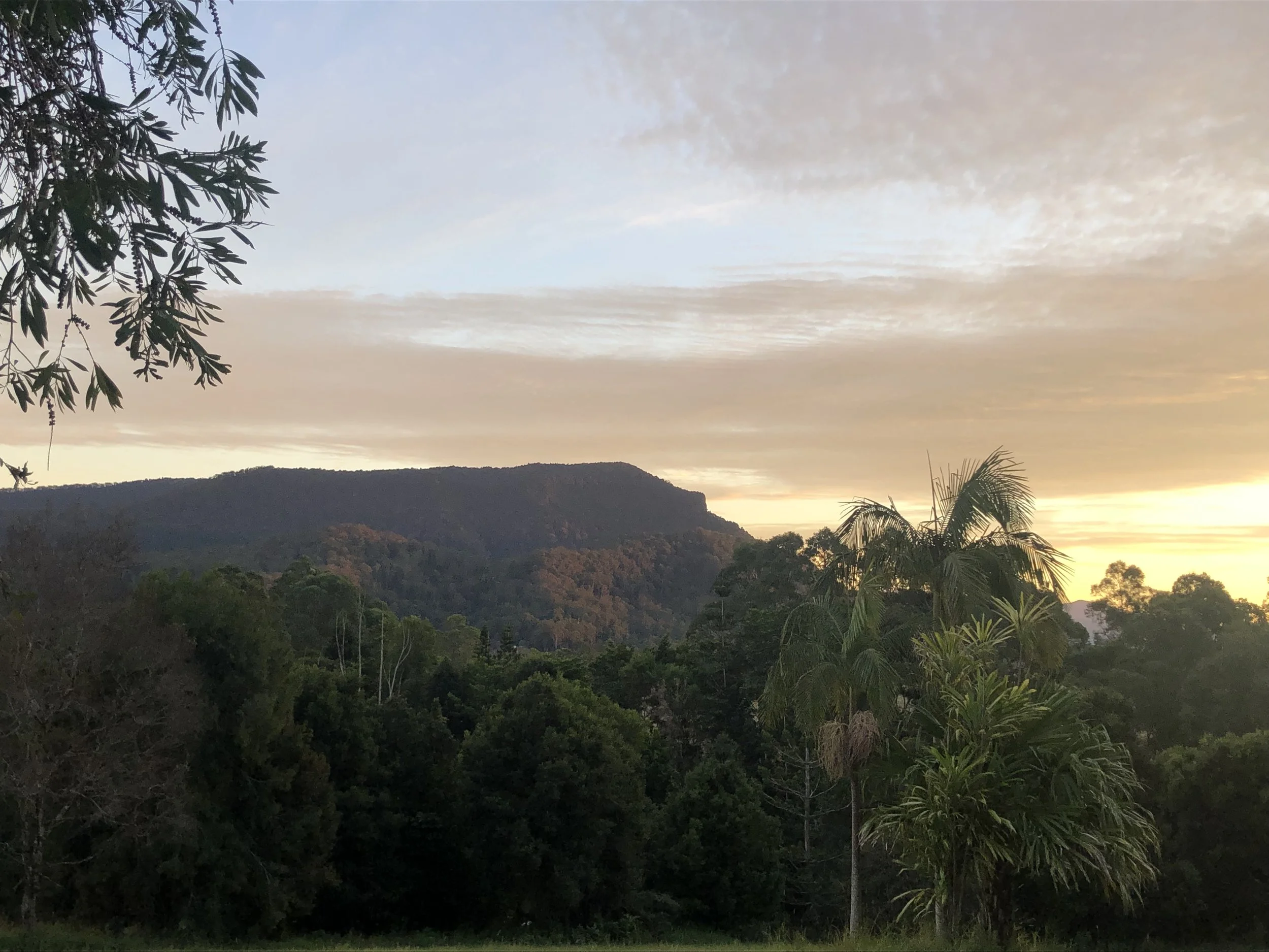 3-view_01.jpg