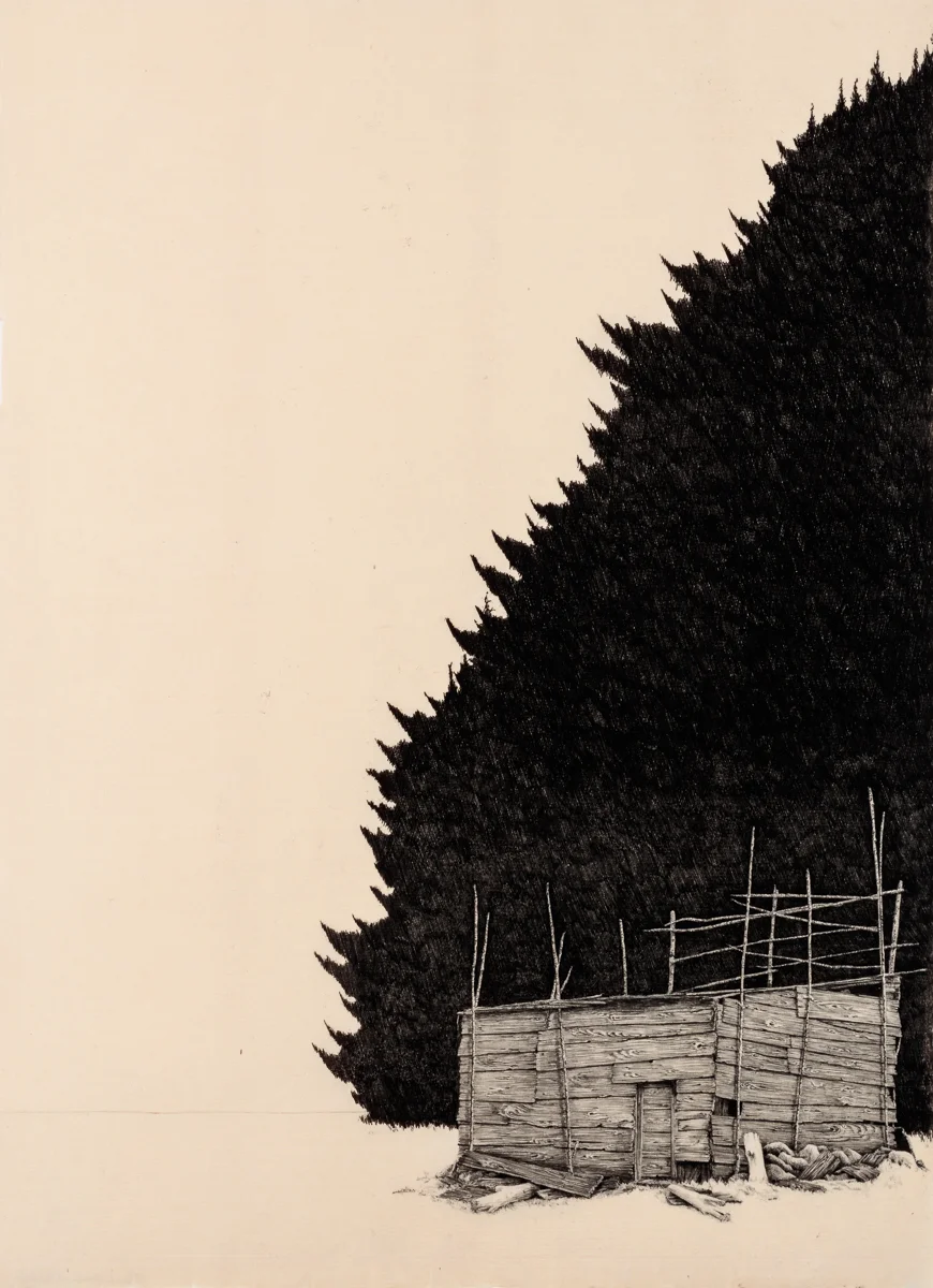 PLANK HOUSE.jpg