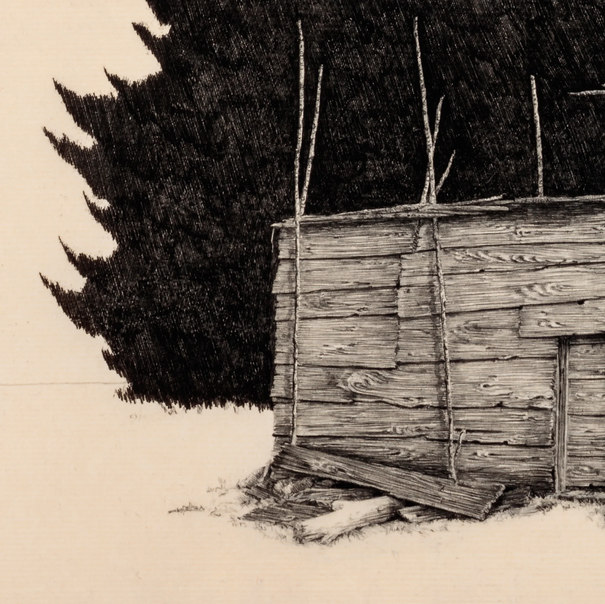 plank house detail.jpg