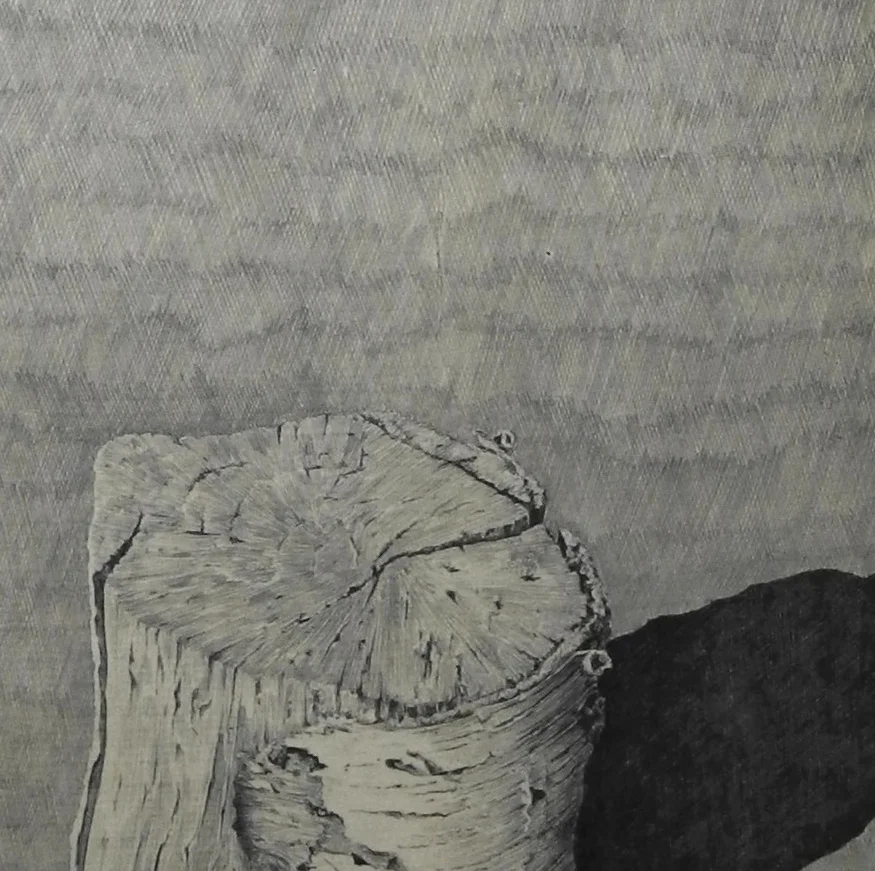 STUMP DETAIL WEBSHOP.jpg