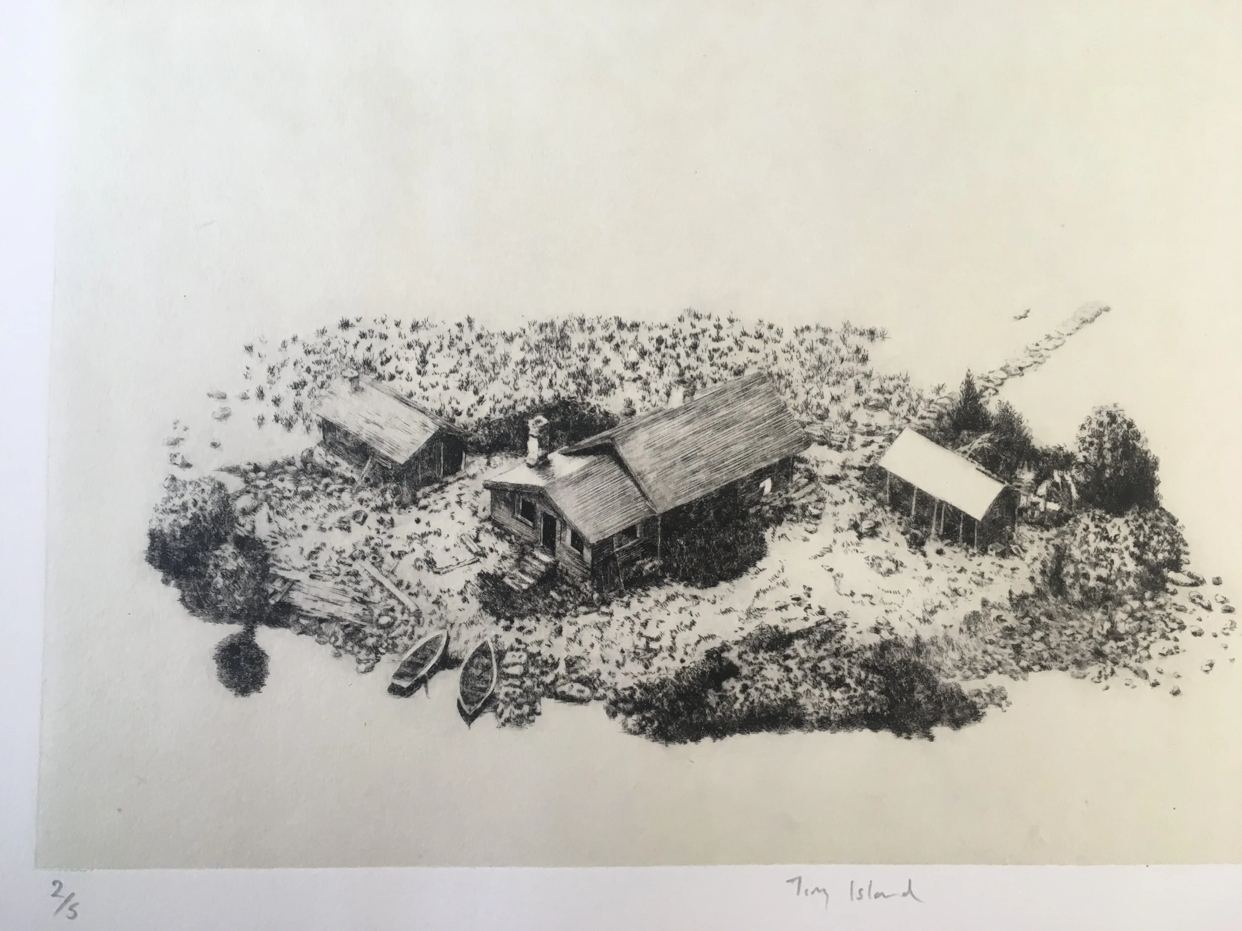 TINY ISLAND DETAIL.JPG