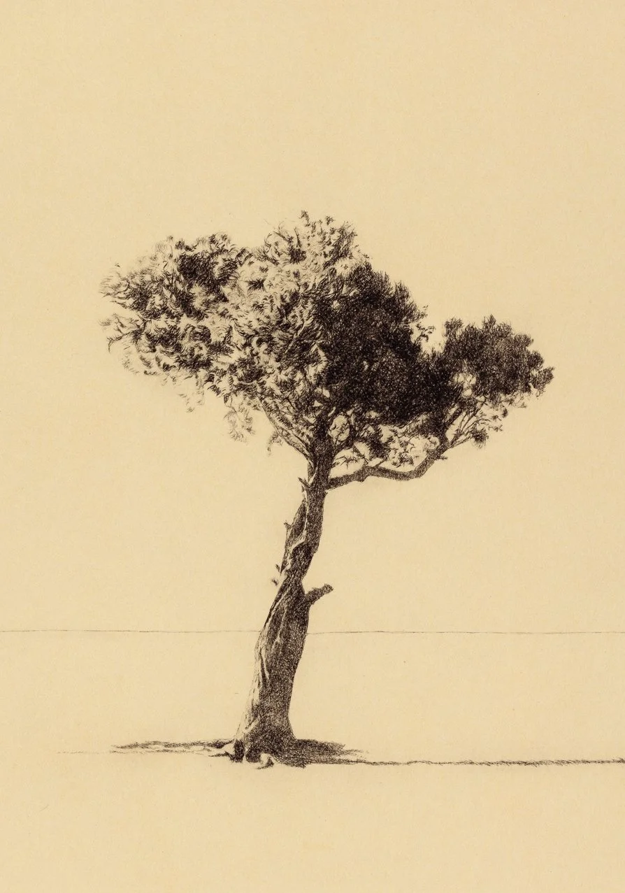 felicity_warbrick_10_2020-06 copy.jpg