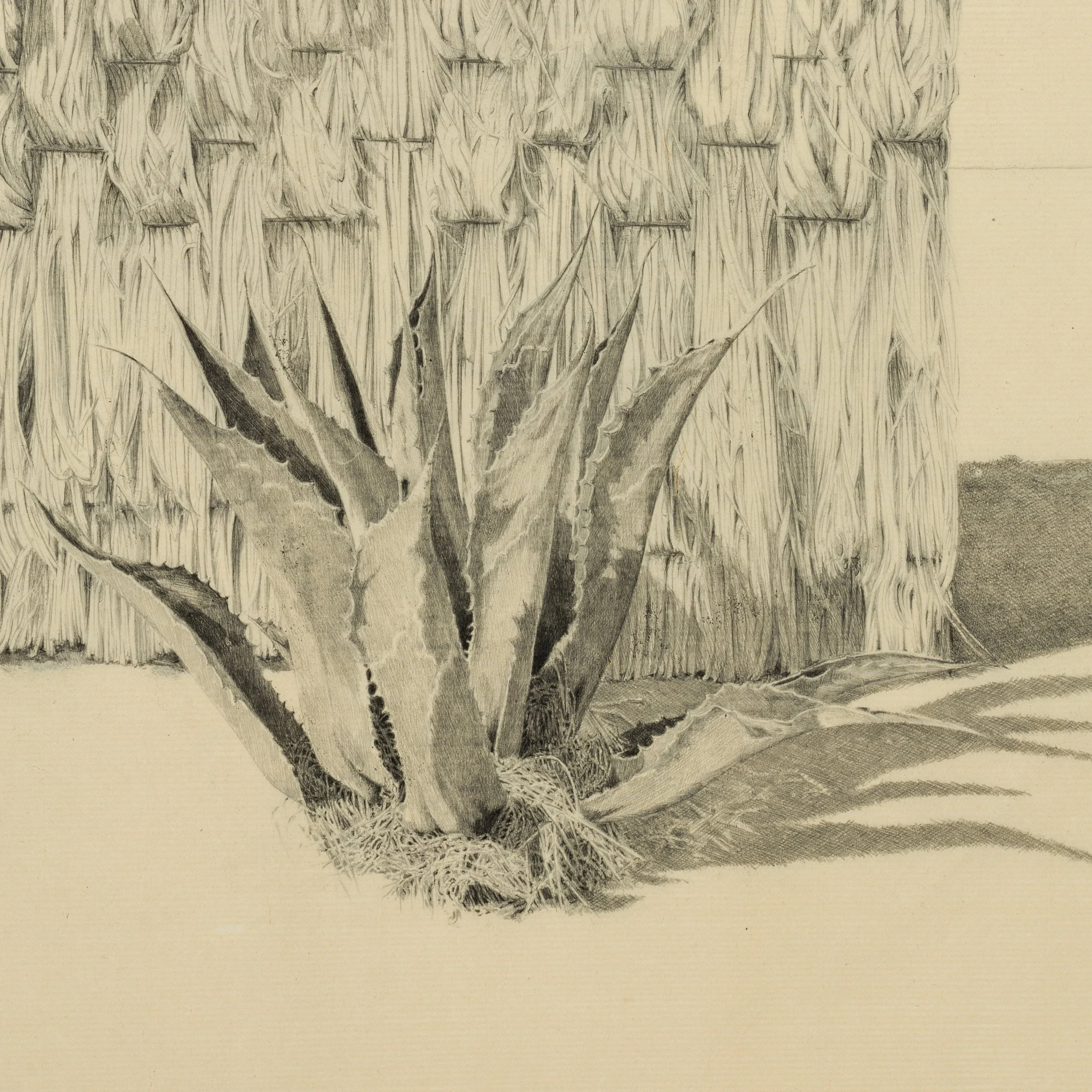 Felicity_Warbrick-09_2023-005 copy 2.jpg