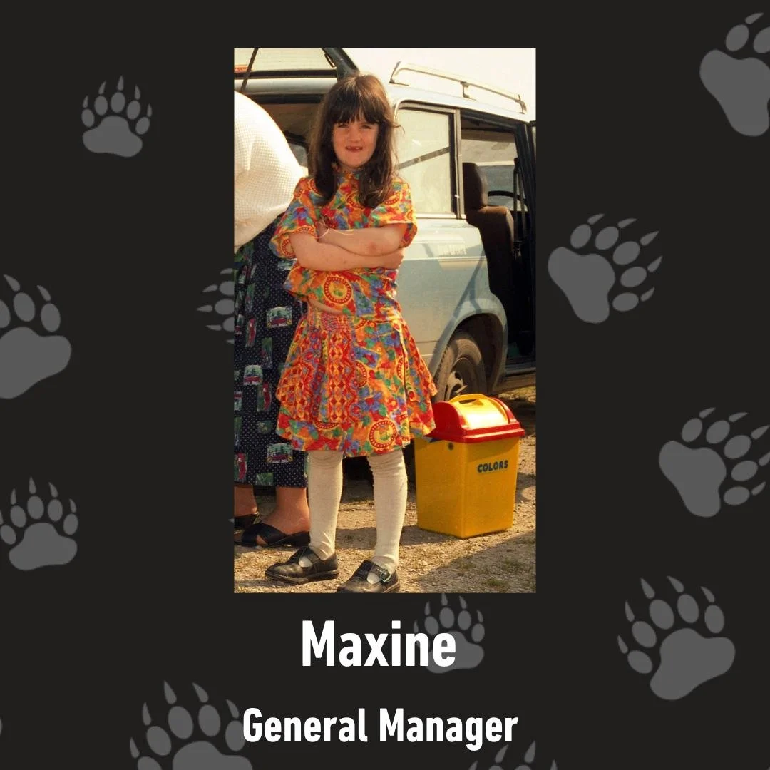 We&rsquo;ve all been kids once&hellip; some of us now have little ones of our own&hellip; and some of us might still act like big kids from time to time 😉

So we wanted to introduce you to the team in true Mama Bear fashion &mdash; by taking it back