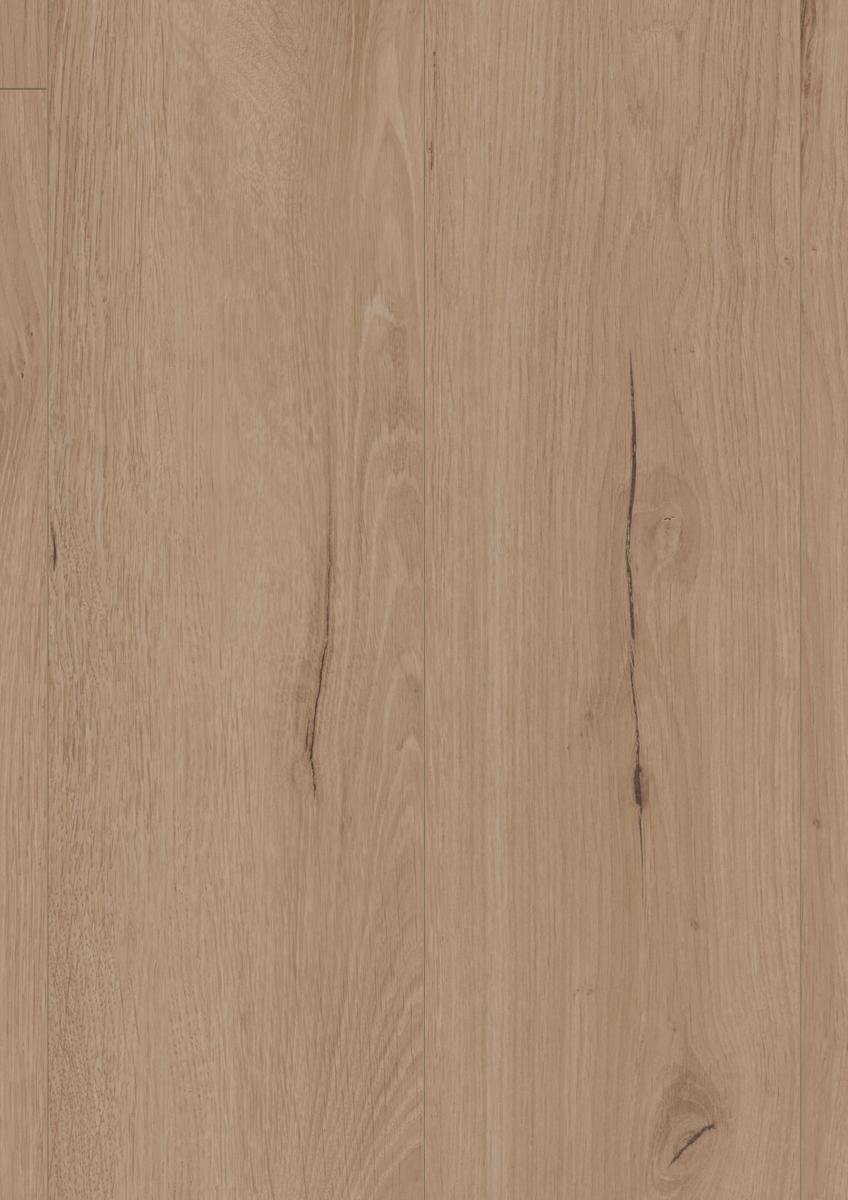 Robusto D81682 frontal.jpg