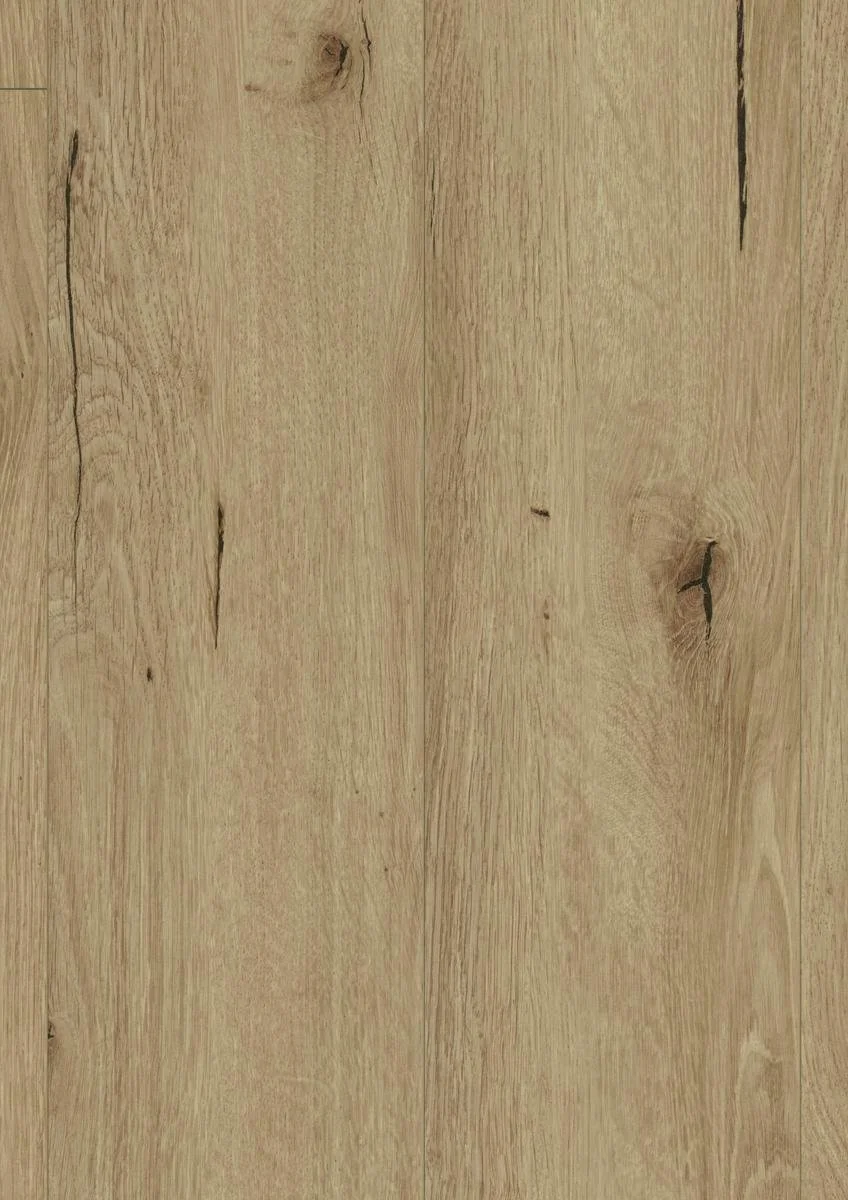 Robusto D81672 frontal.jpg