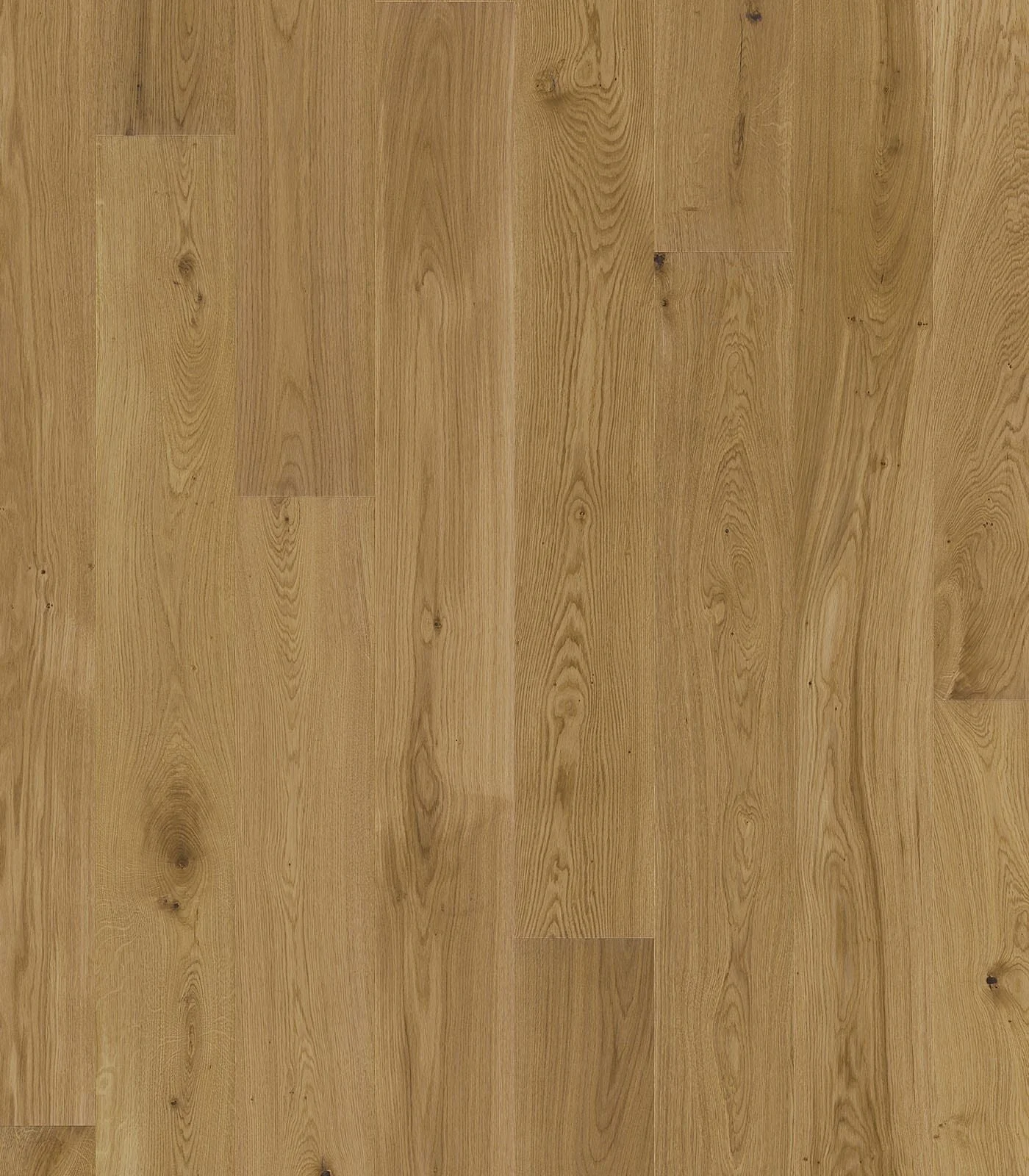 0012_Oak-Rustic-Flat.jpg
