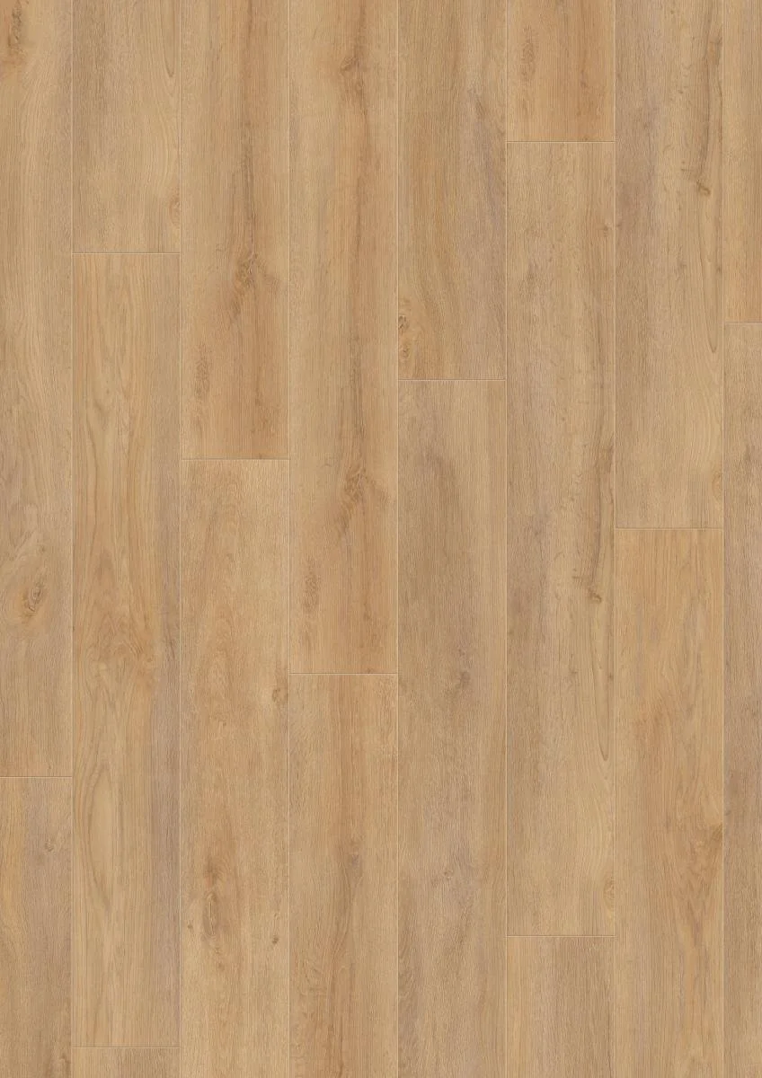 D4954 Robusto Premium Oak area_frontal_srgb.jpg