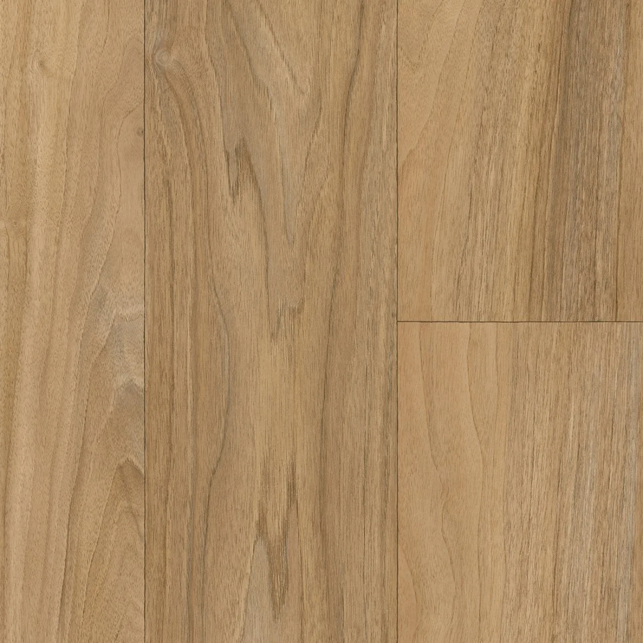 EMBER 58-WEB1280.jpg