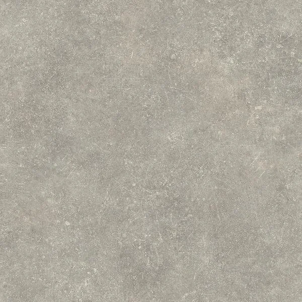 disa 997m_cv_beauflor_psh.jpg