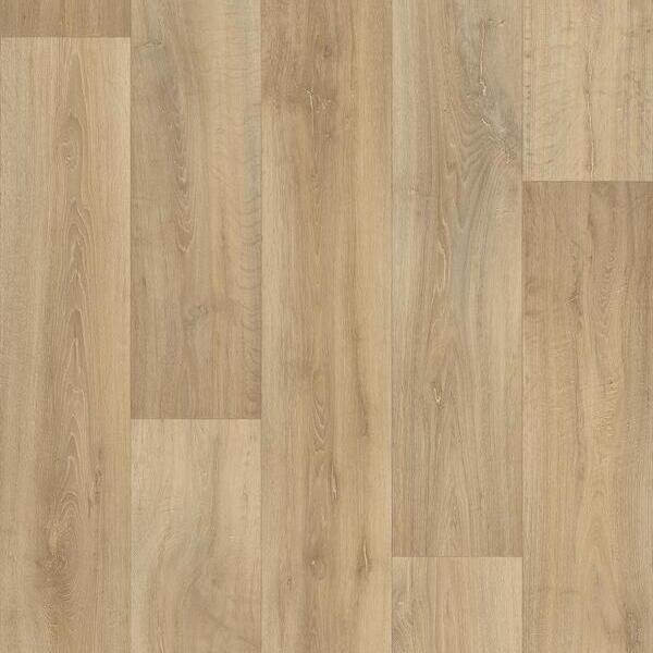 lime oak 223m_cv_beauflor_psh.jpg