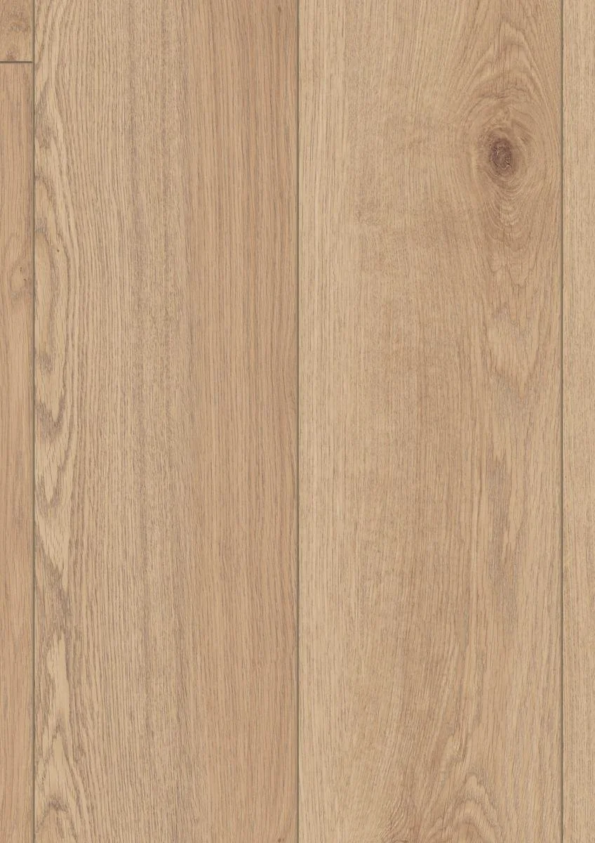 Robusto D81602 frontal.jpg