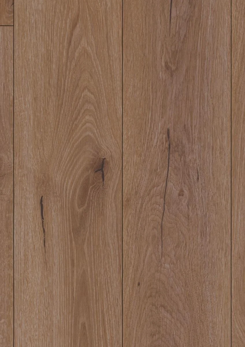 Robusto D81662 frontal.jpg