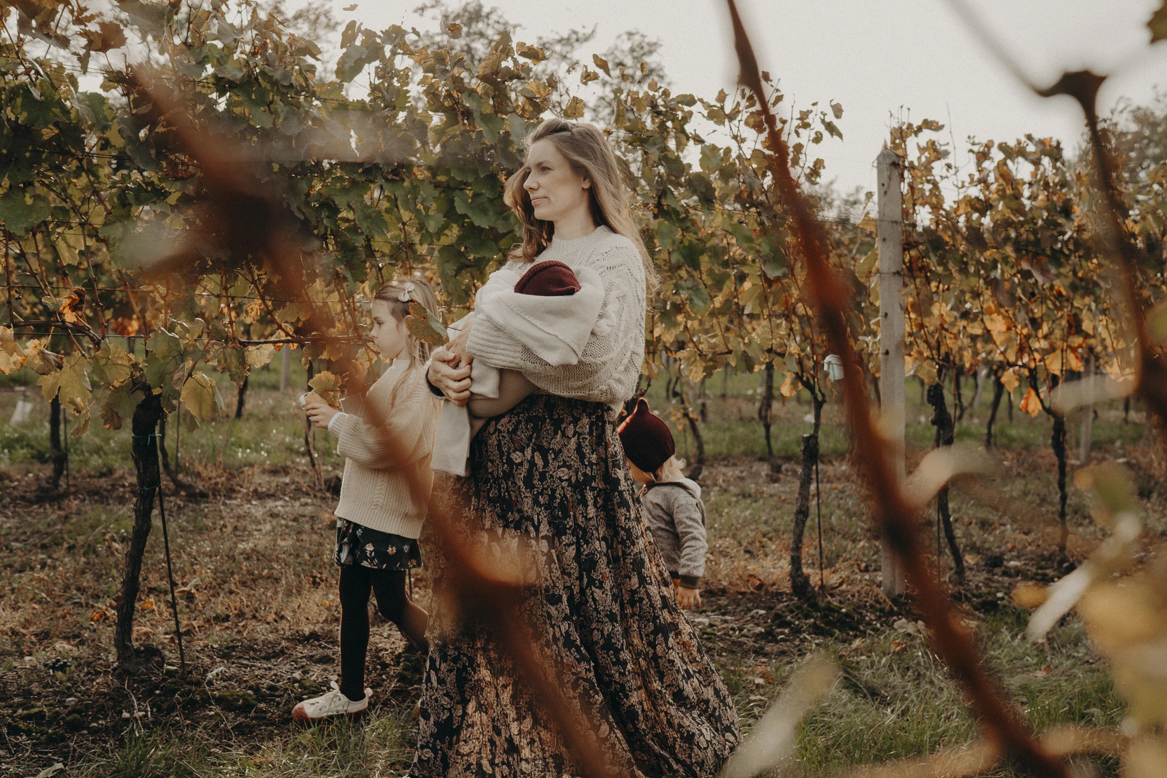 Vinárova žena: můj život na vinohradu