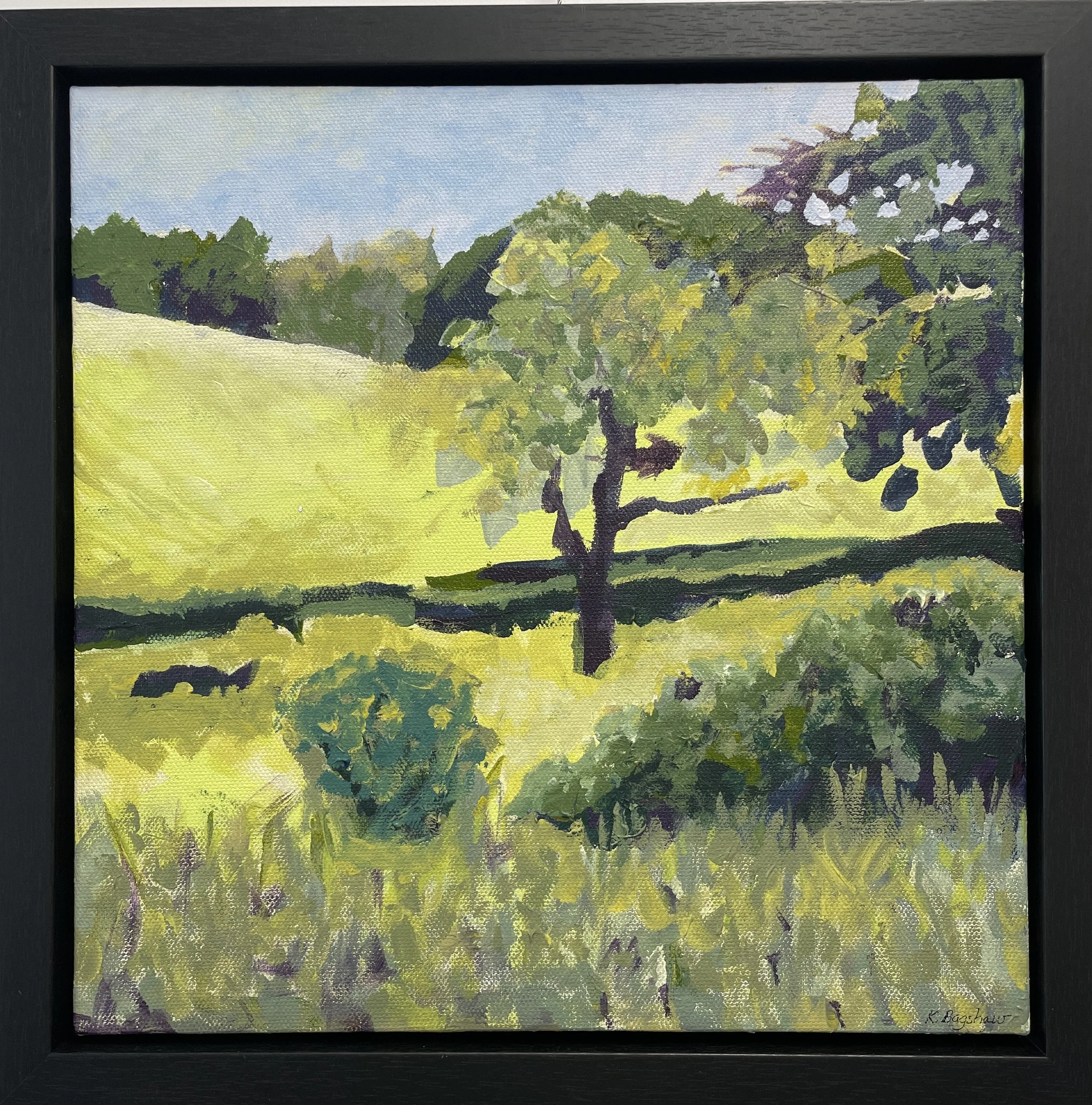 Bagshaw - Landscape field #4.jpg