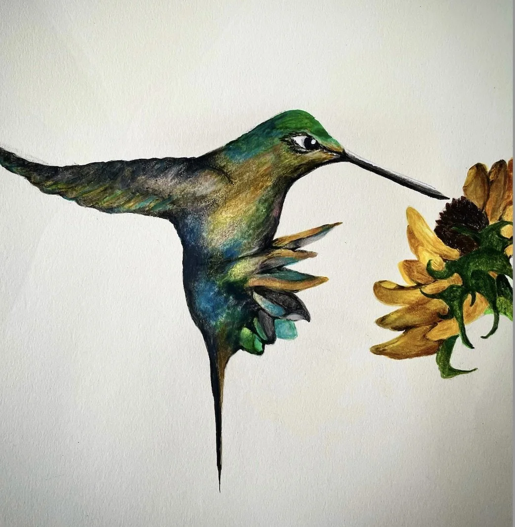 Teague - Hummingbird - Caroline Teague.jpeg