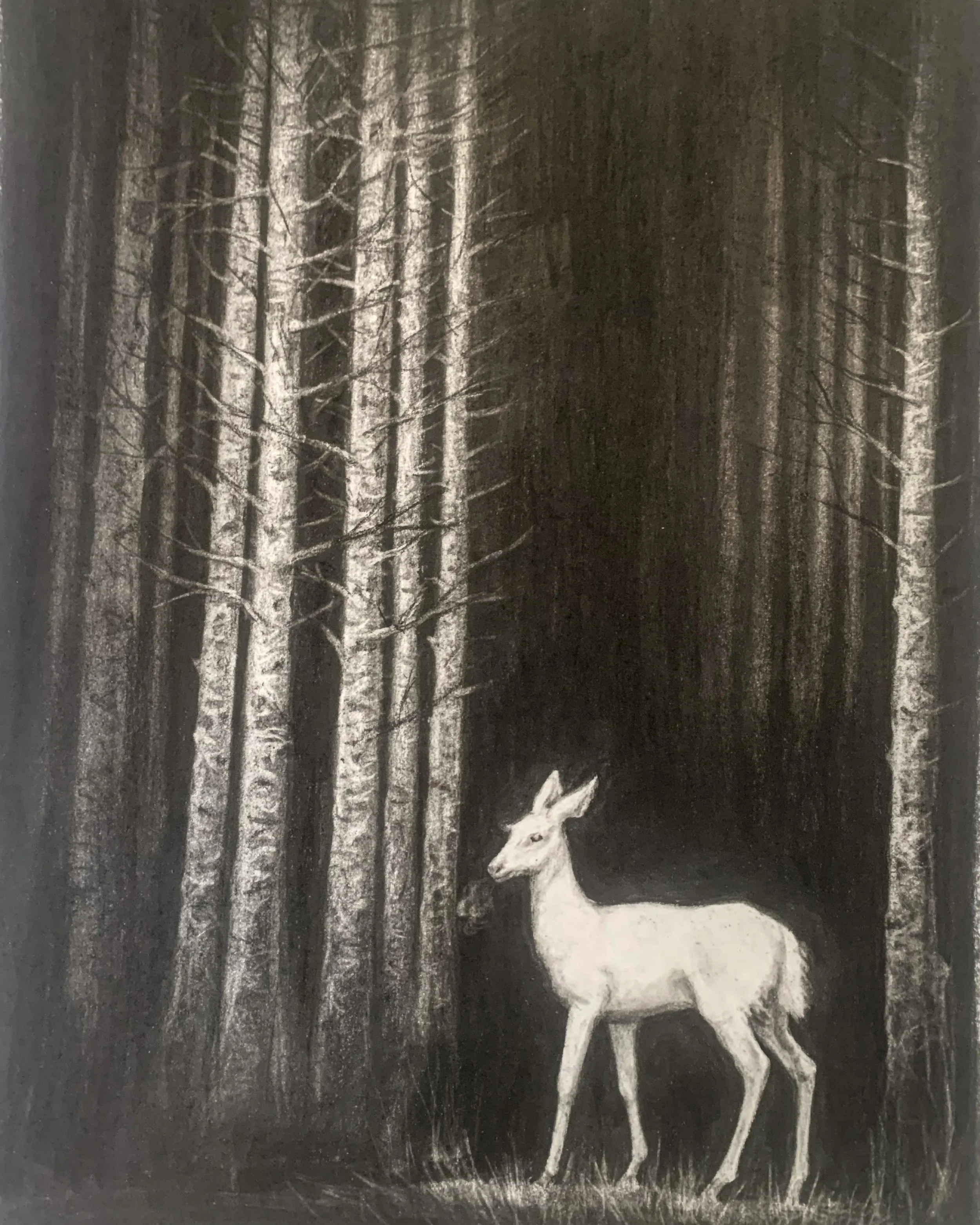 35 - Fate in youth.jpeg