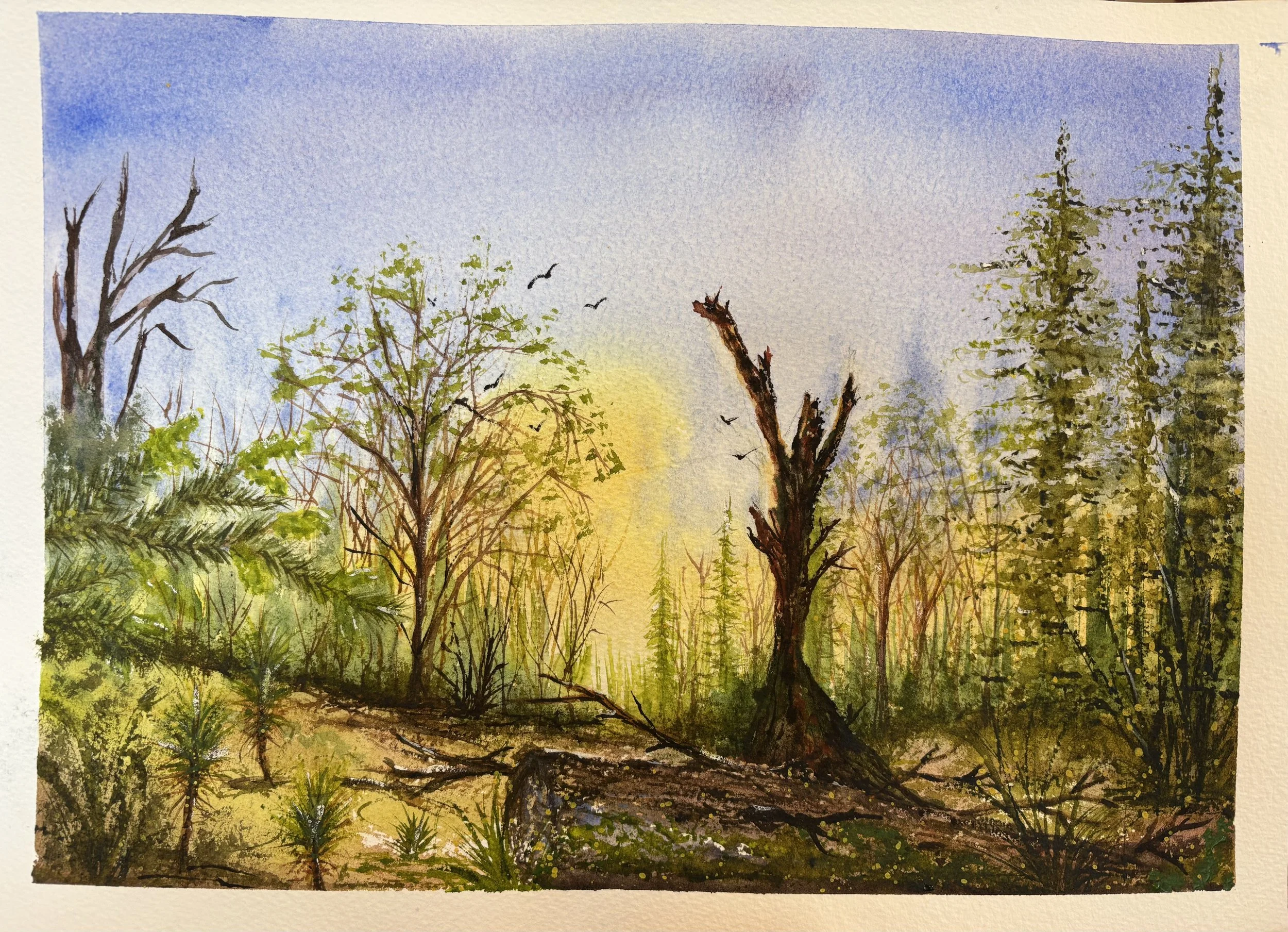 Carpinito - Serene Woodland.jpeg