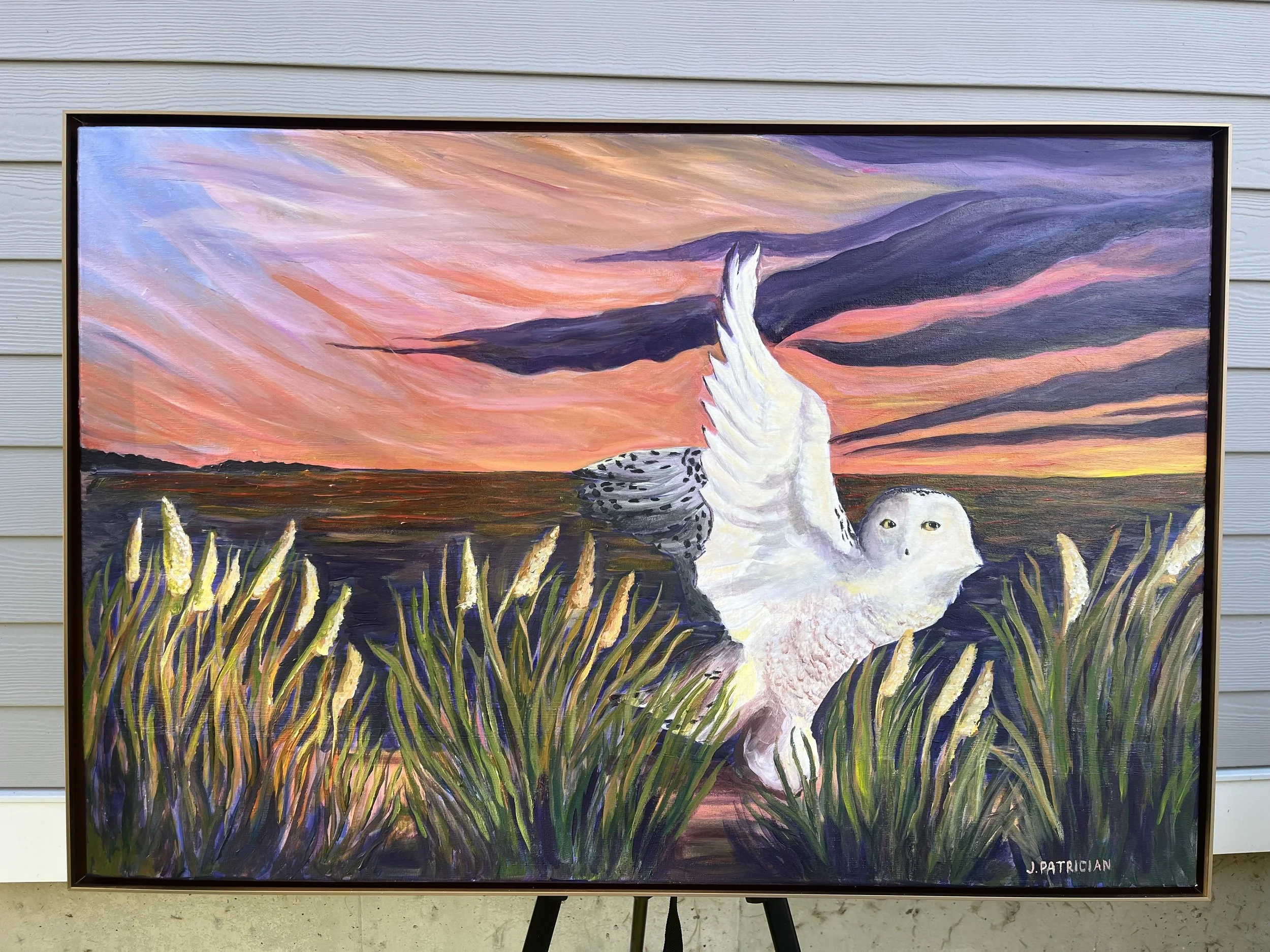 Patrician - Snowy at Cranes - Jackie Patrician.jpeg