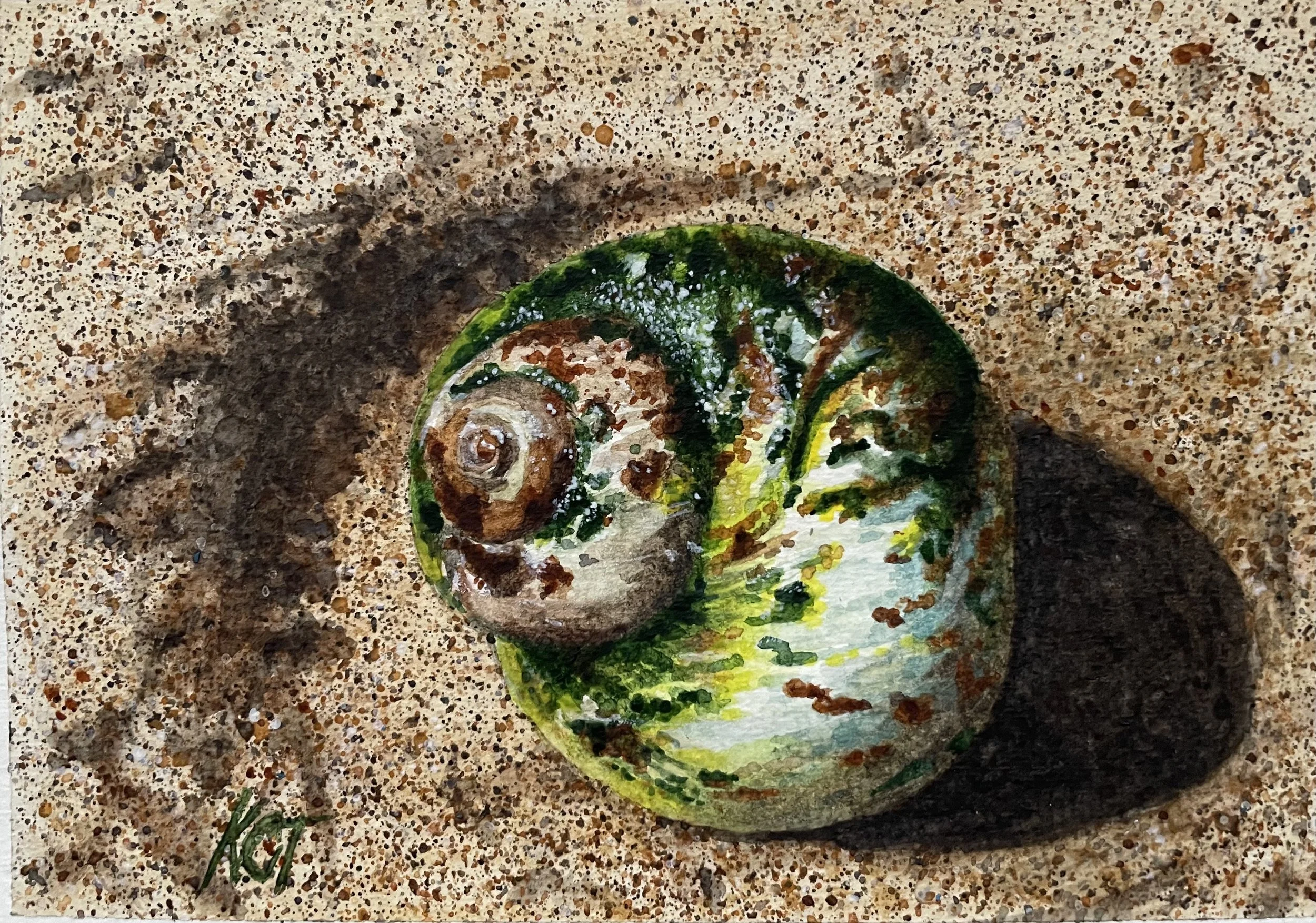 Collari Troake - Shell No 3 (2024).jpg