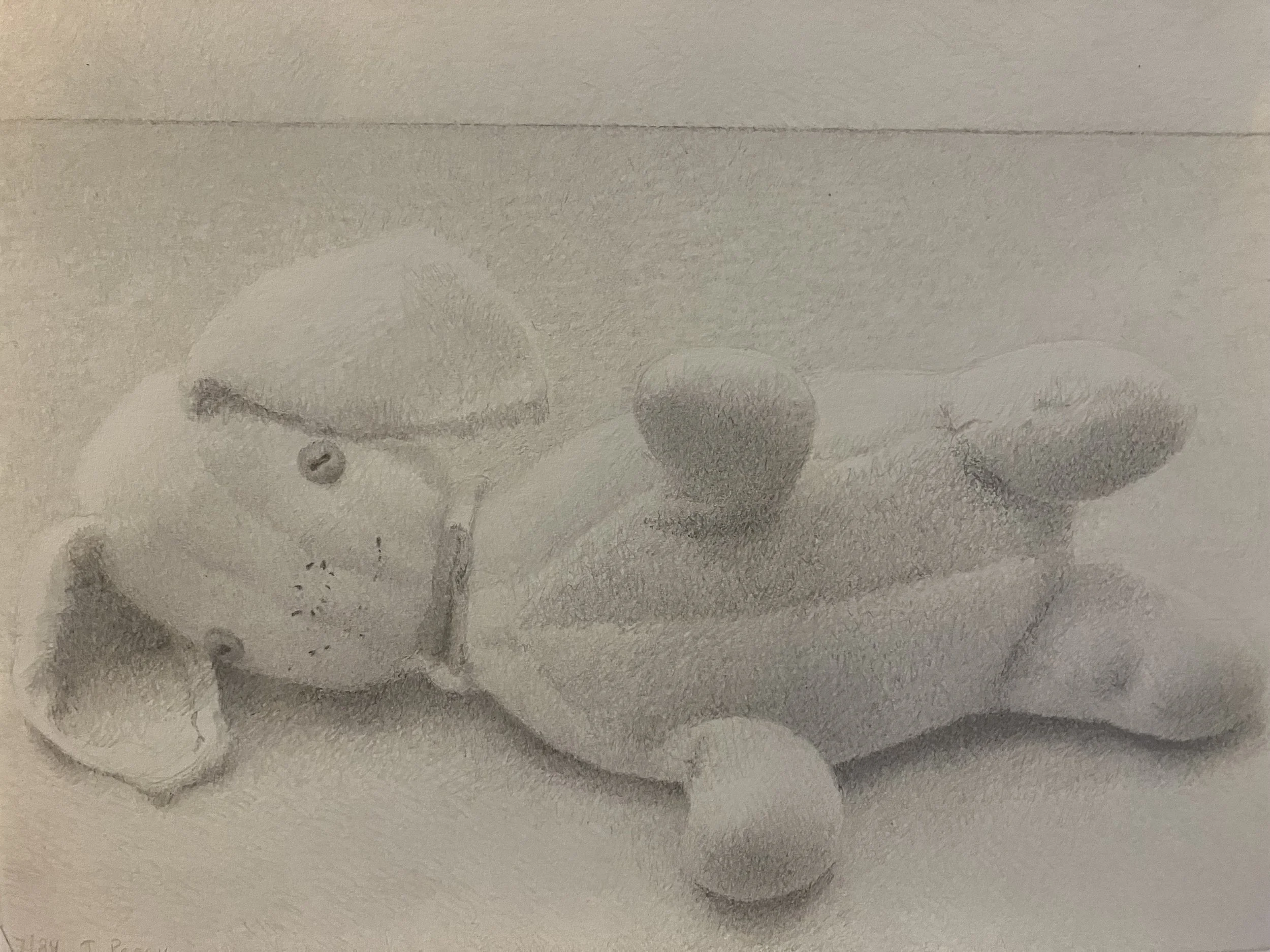 2 - Puppy, reclining.jpeg