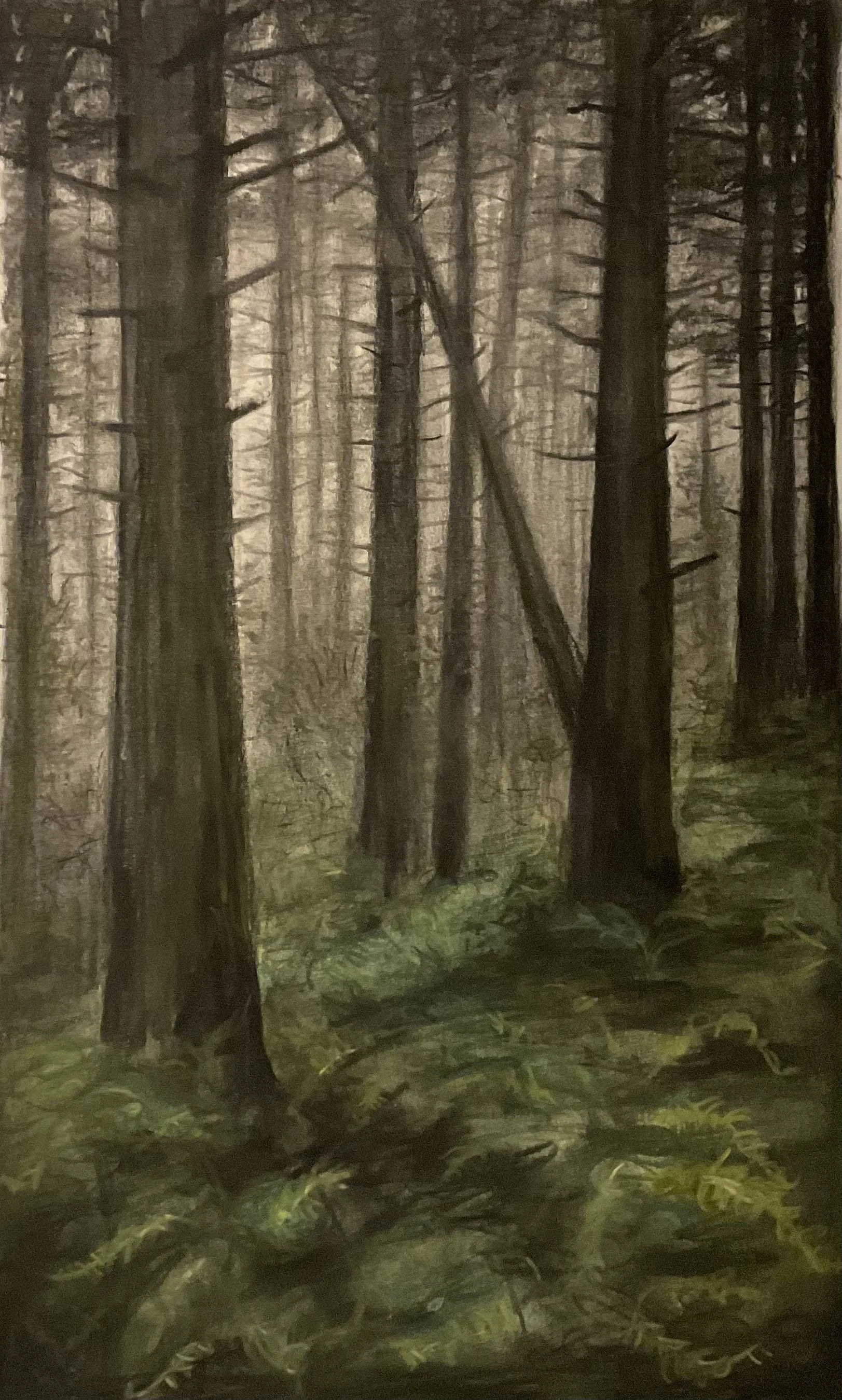 Scanlon Moulton - Resplendent in Ferns.jpeg